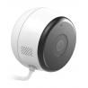 D-Link DCS-8600LH cámara de vigilancia Cámara de seguridad IP Interior y exterior Cubo 1920 x 1080 Pixeles Techo/pared - Imagen 