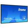 iiyama ProLite TF4939UHSC-B1AG pantalla para PC 124,5 cm (49") 3840 x 2160 Pixeles 4K Ultra HD LED Pantalla táctil Multi-usuario