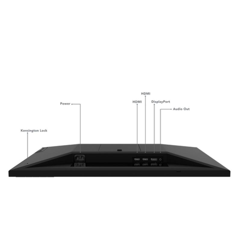 Lenovo G25-20 62,2 cm (24.5") 1920 x 1080 Pixeles Full HD Negro